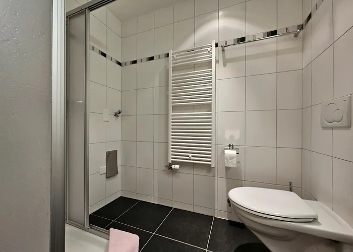 Felskinn 2. Og Saas Fee